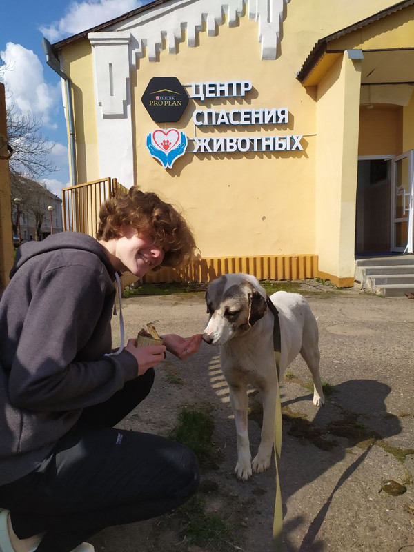 IMG-ba0718ee5a47e55cc28e6ba117902dd9-V