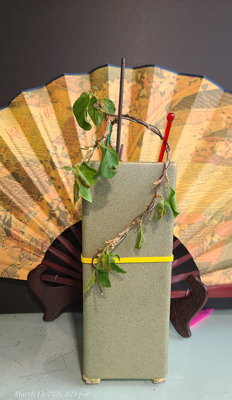 [Image: 20260313-152147.jpg]