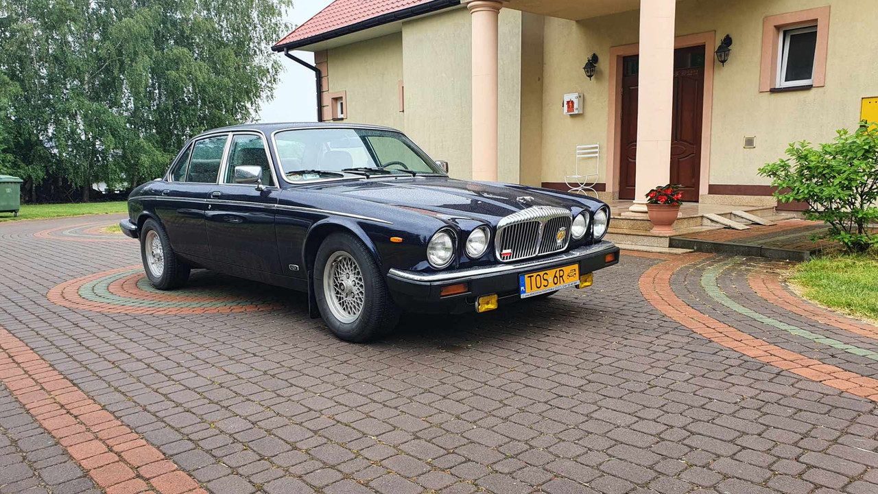 Resized_20220604_114413 (1)