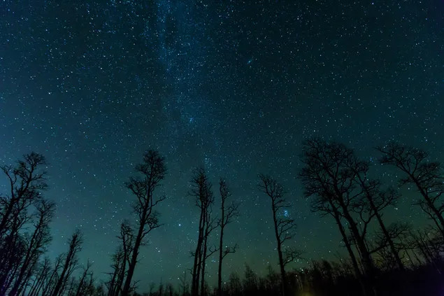 https://i.postimg.cc/SRjMtX2x/starry-sky.jpg