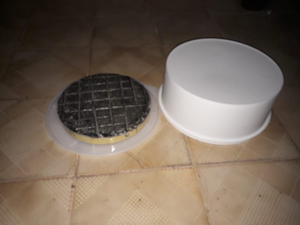 WhatsApp Image 2021-03-03 at 19.25.58 (1)