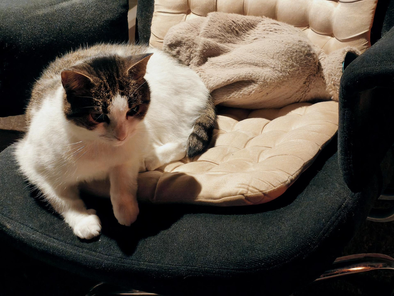 MVIMG 20260210 172950