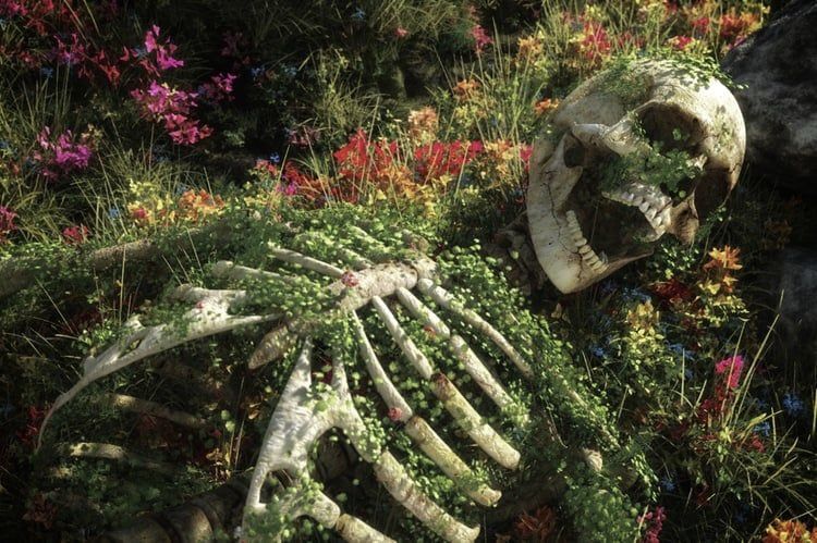 Cadavre fleuri, joli joli