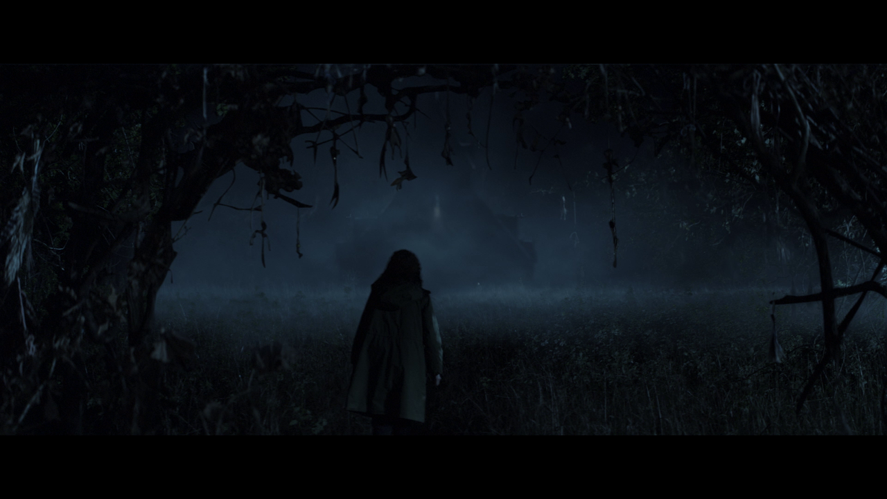 vlcsnap-2025-03-05-17h22m03s642