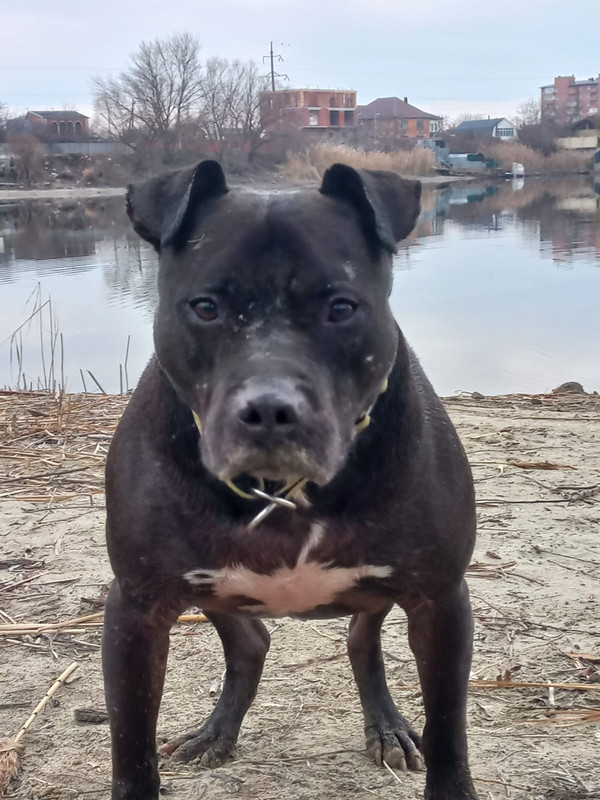 EB4069F0-C3BE-49AC-A749-5B80C7675782