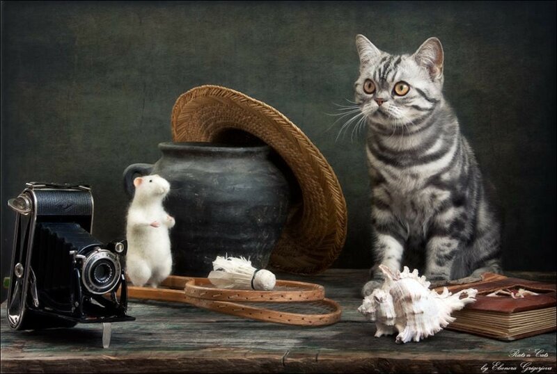 11760204-588292517940882-5737087402380838160-n