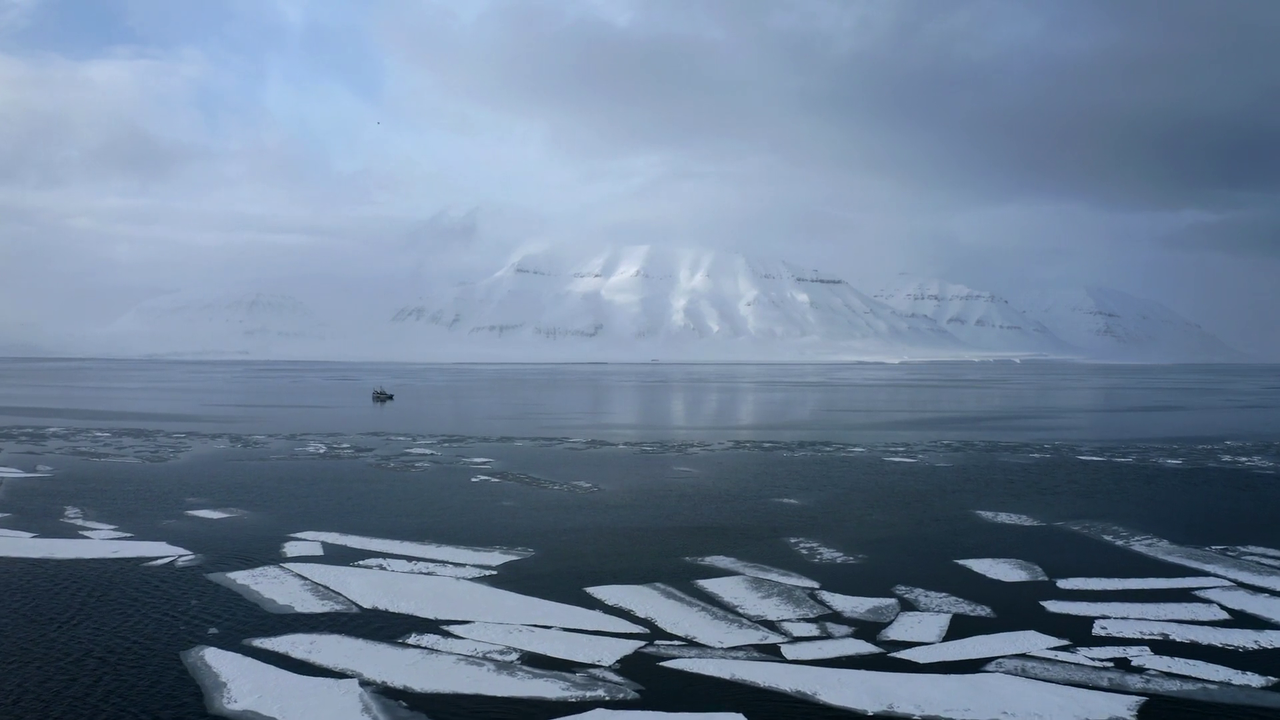 Bear Witness 2022 1080p WEB DL AAC x264 BluBeast