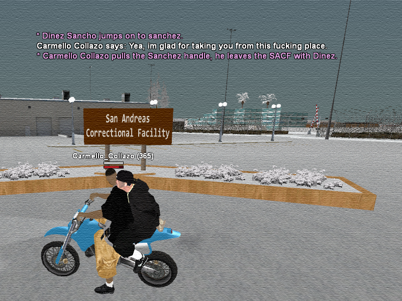 SSRoleplay239.png