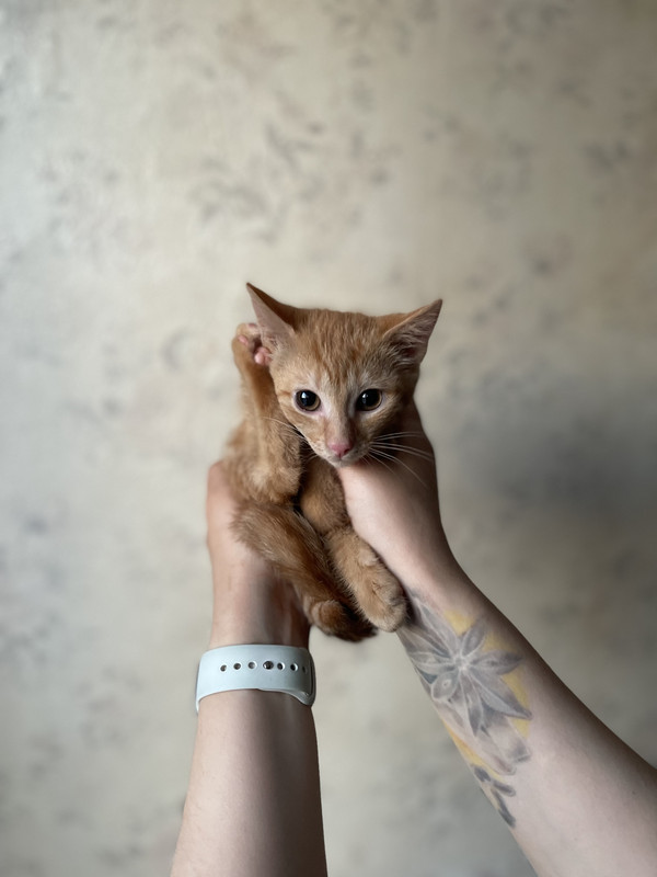 93C0DEC6-F1EE-4900-AB1D-DE8B1A9E468D