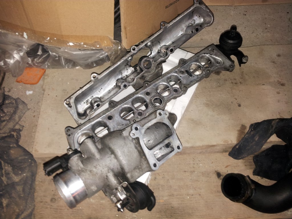 20151203_192541 (Medium)