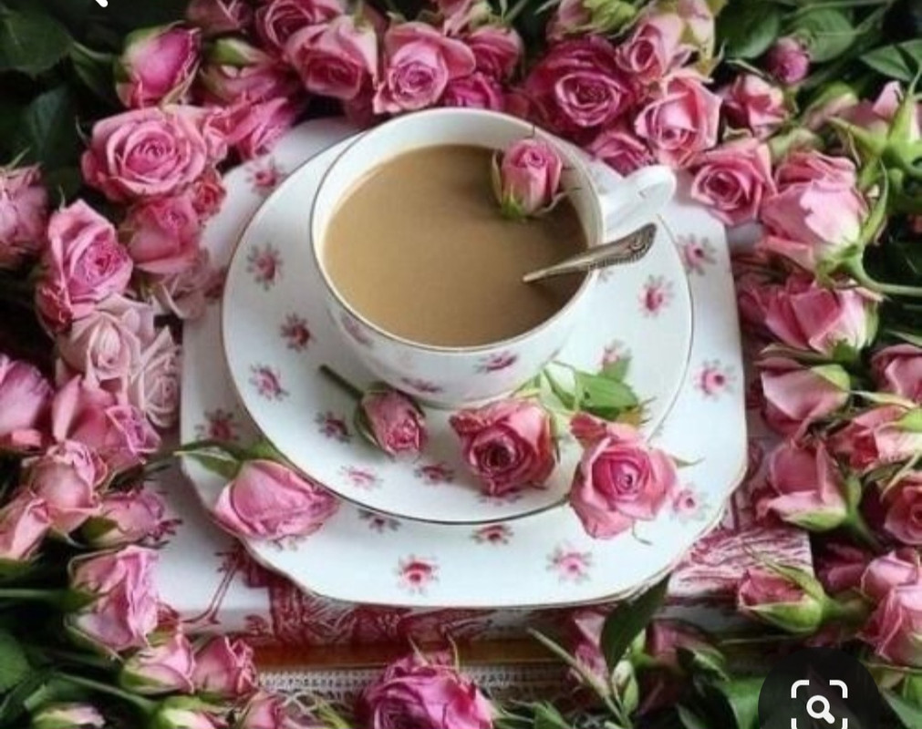 Screenshot_20230420_215211_Pinterest