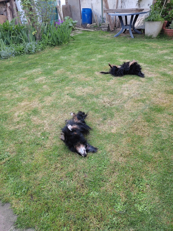 [Image: IMG-20220414-171839.jpg]