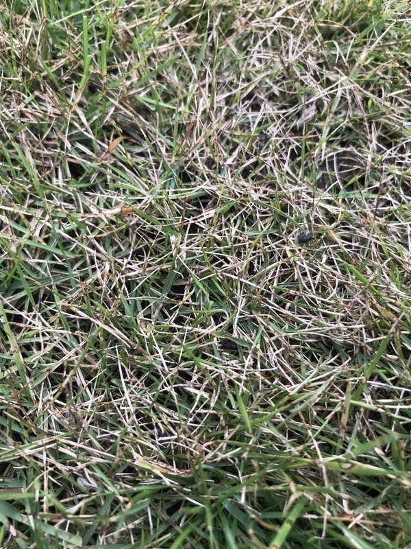 AC54C7FA-7AA1-46E9-BBE1-24809404D611