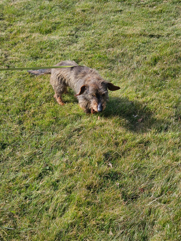 [Image: IMG-20250319-WA0010.jpg]