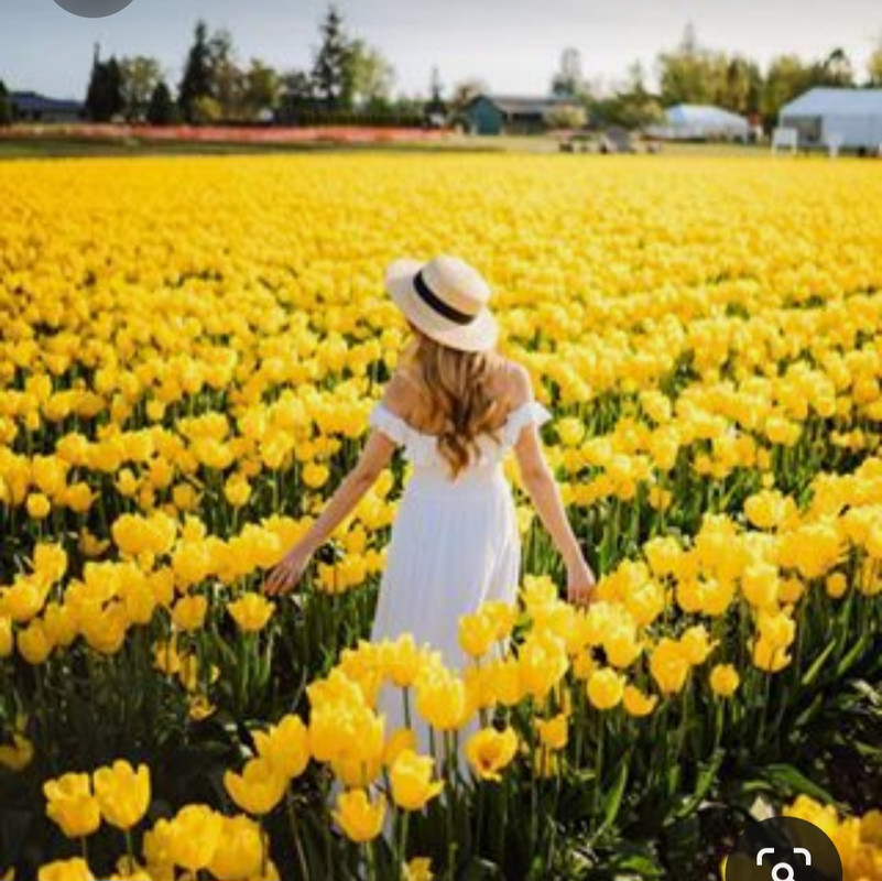 Screenshot_20230719_220335_Pinterest