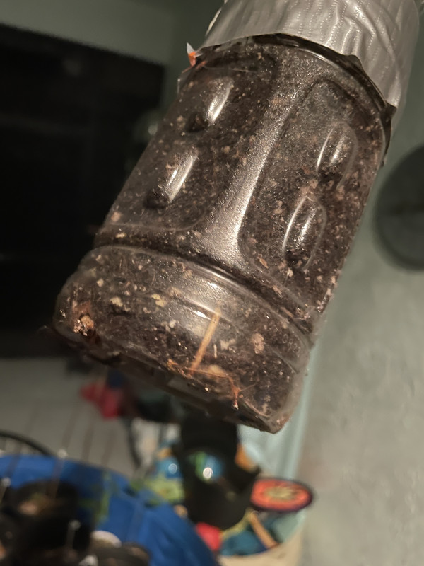 297B6F2D-8982-4AD1-8410-AAE42B5CC799