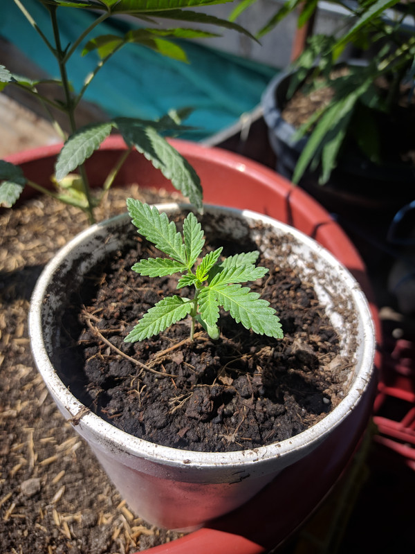 HC_20221206_110442_null