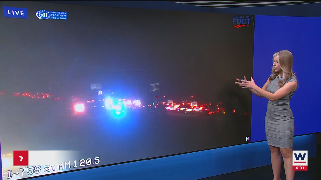 WINK News at 630am_20241101_10301100.ts_snapshot_02.14.835