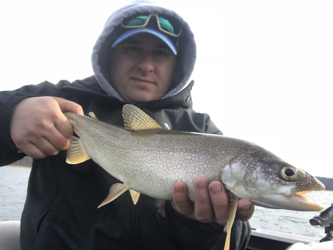 50AFAD7C-29A3-47A7-87FE-6CDE57499358