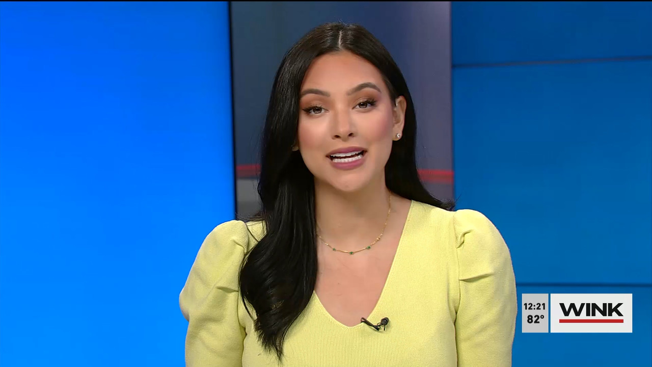 01.02 - 17.00.00 - The WINK Noon News  ᴺᵉʷ. Midday news update..ts_snapshot_28.14.319