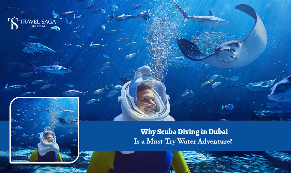 Scuba diving Dubai