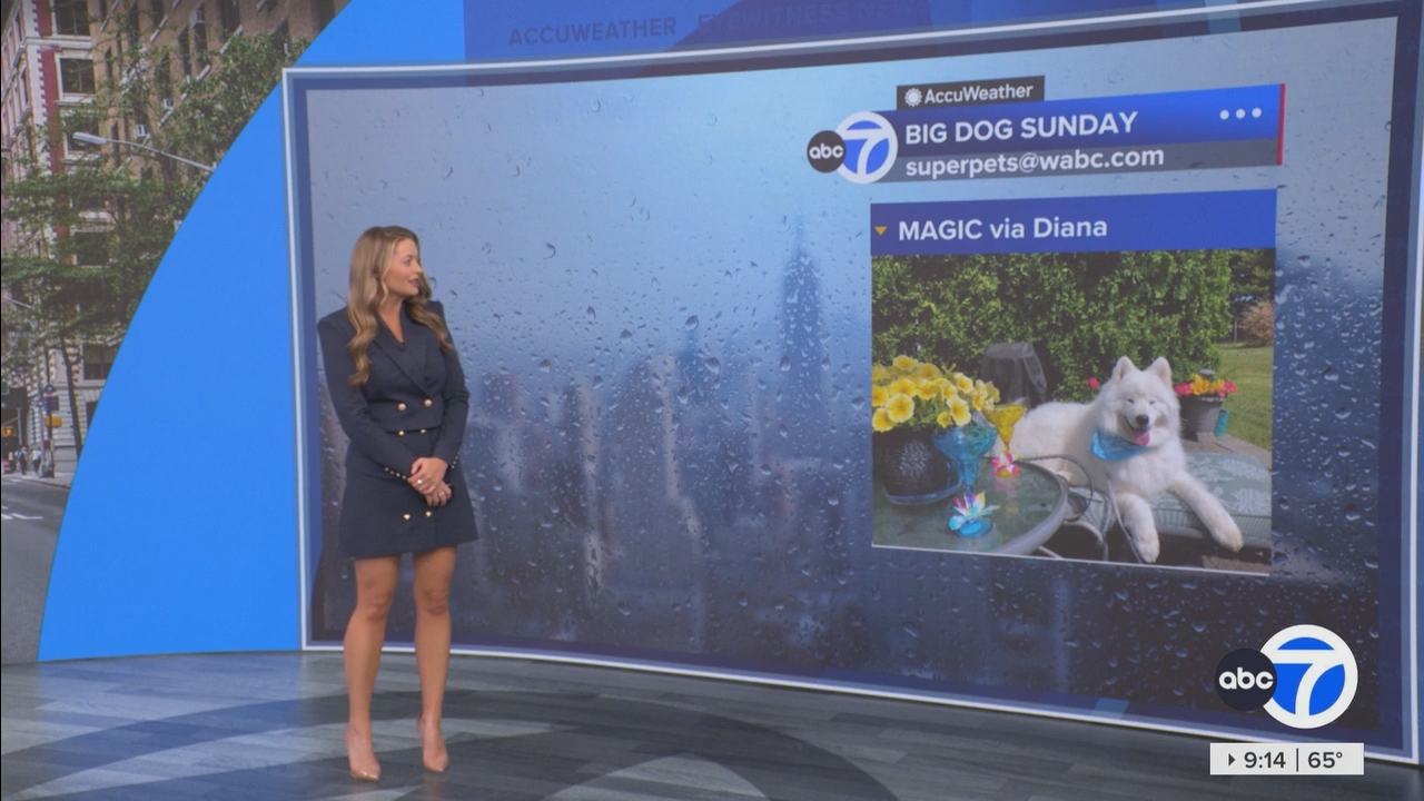 Eyewitness News Sunday Morning_20250504_14001500.ts_snapshot_00.15.05.810