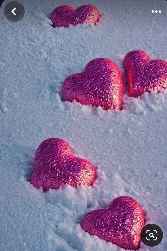 Screenshot_20240212_211405_Pinterest