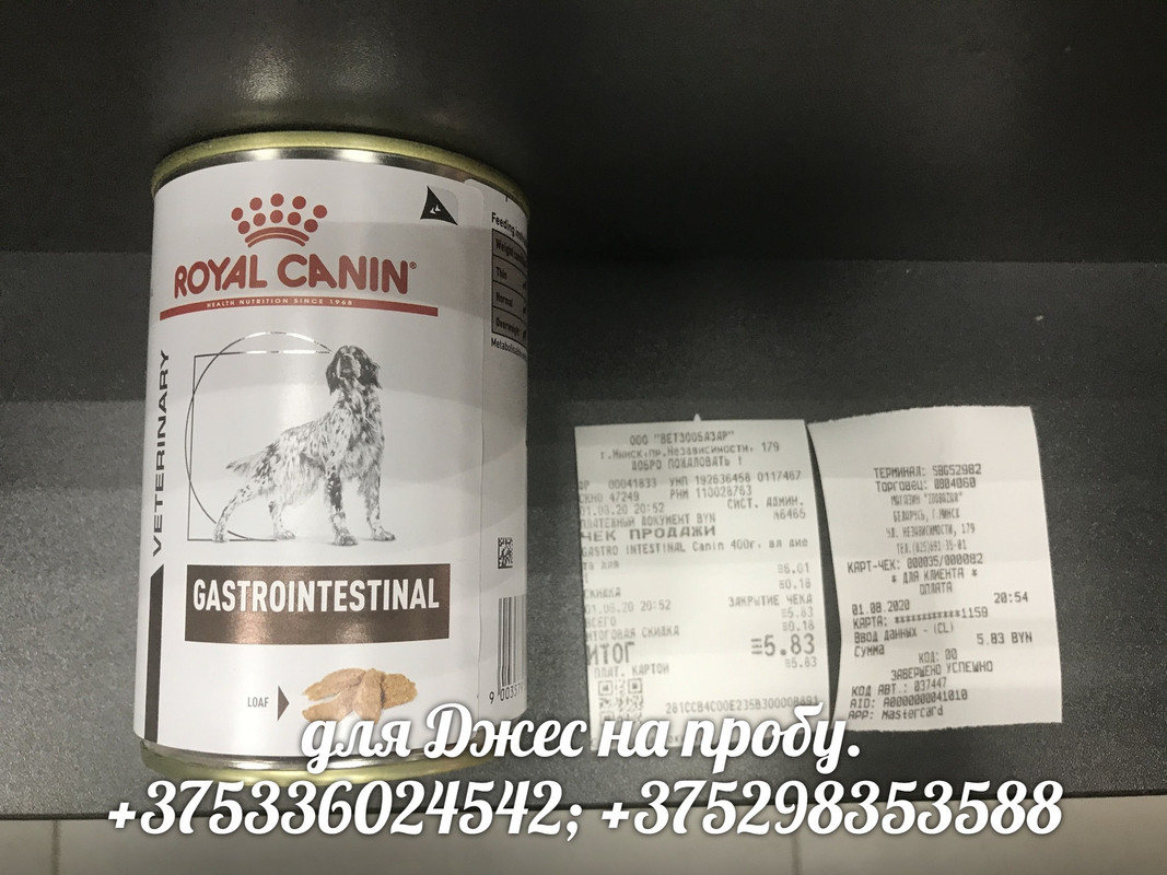 гастро 1авг