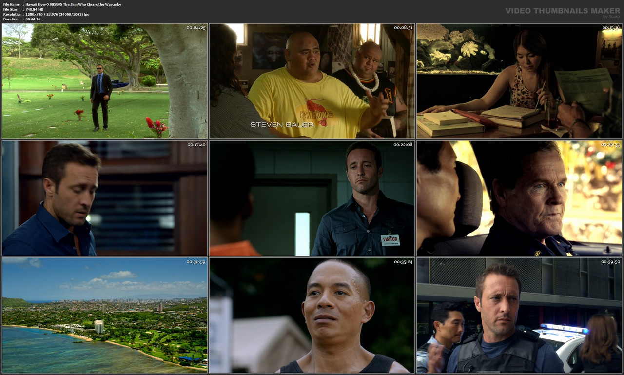 Hawaii Five-O S05E05 The Jinn Who Clears the Way.mkv