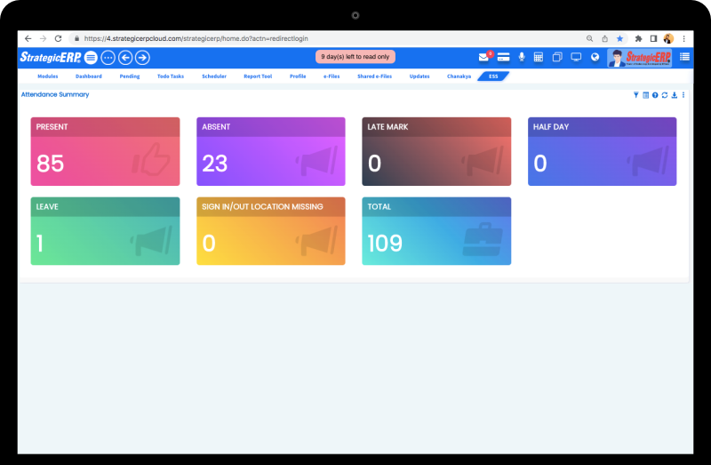 StrategicERP Attendance Summary Dashboard