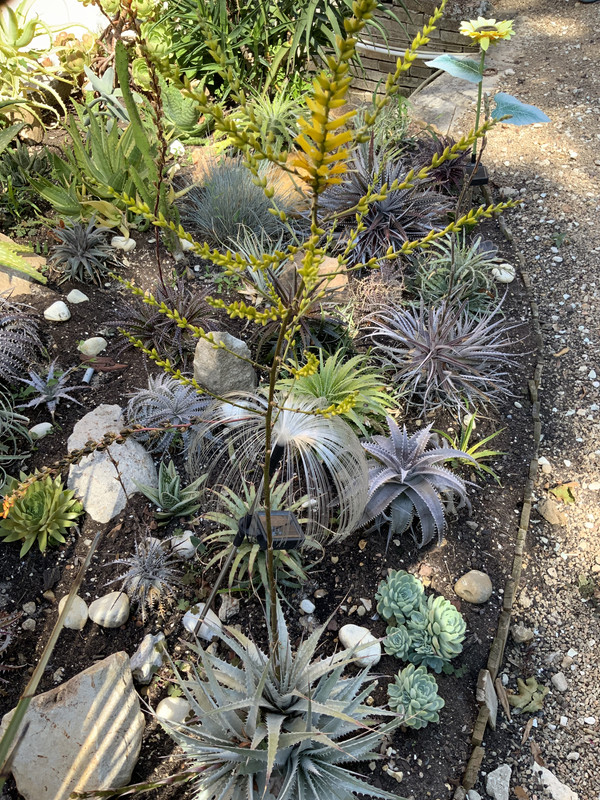 3BA784D5-C520-4822-843B-AEB2132FC38E