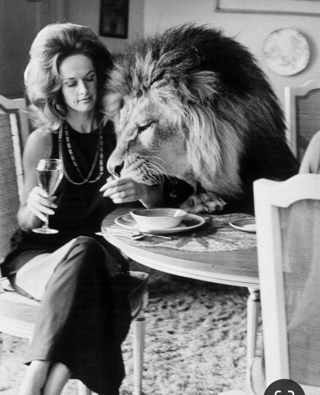 Screenshot_20230921_210500_Pinterest