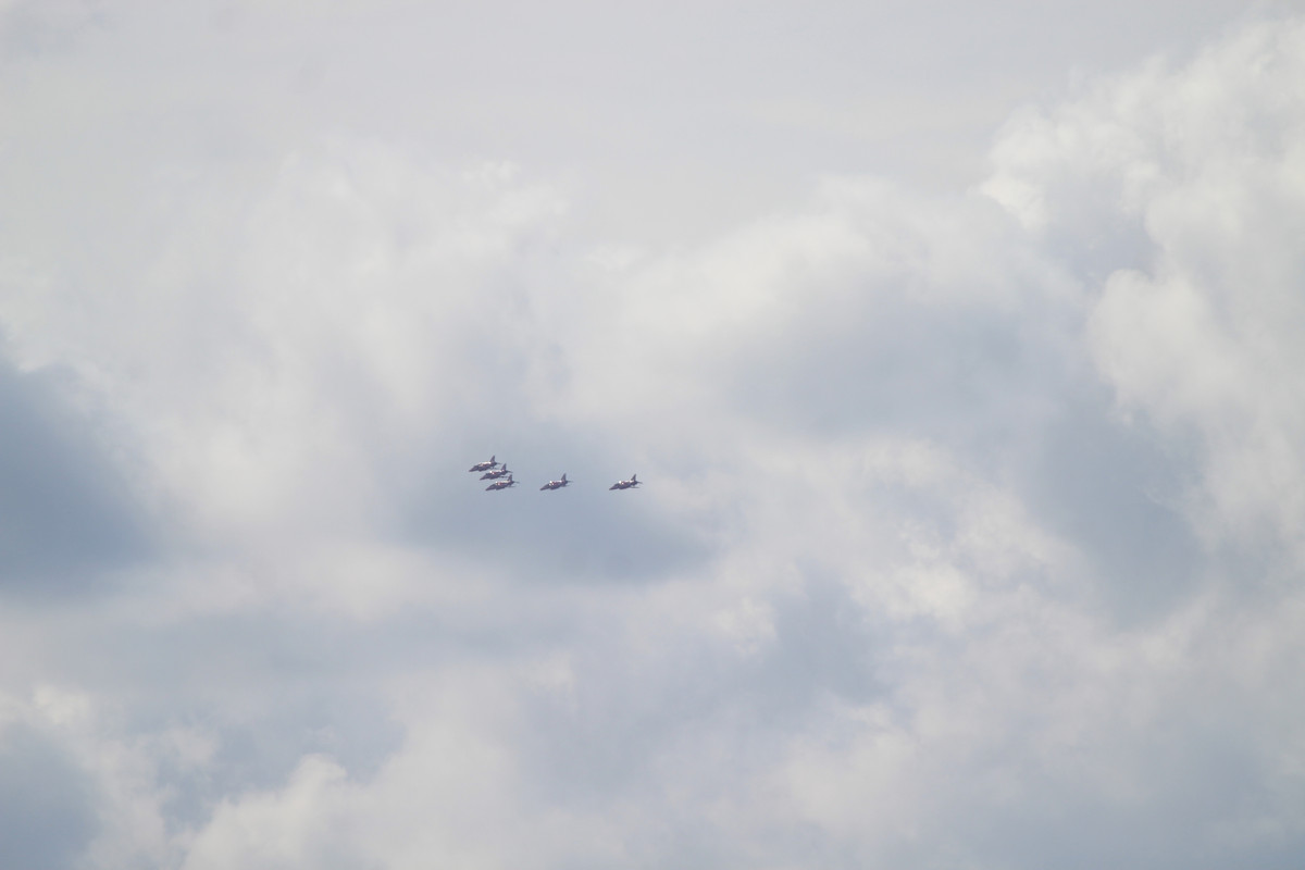 IMG 2039 — Postimages