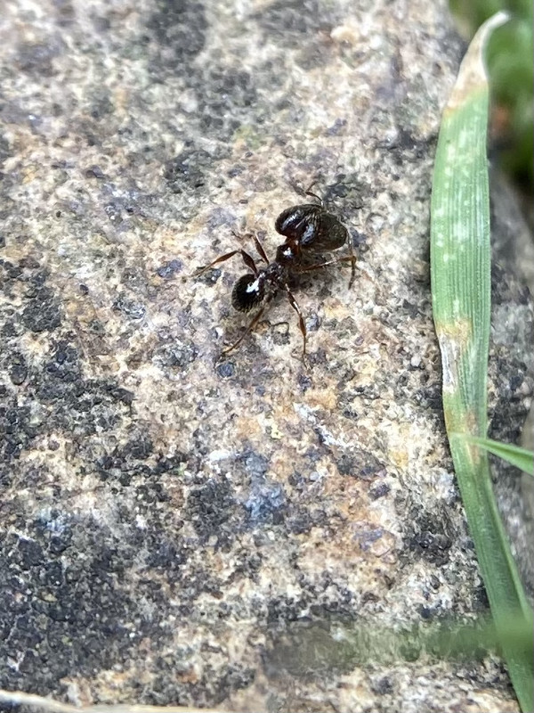 DA41000C-6425-4AA3-9565-D1F95ED32D8B