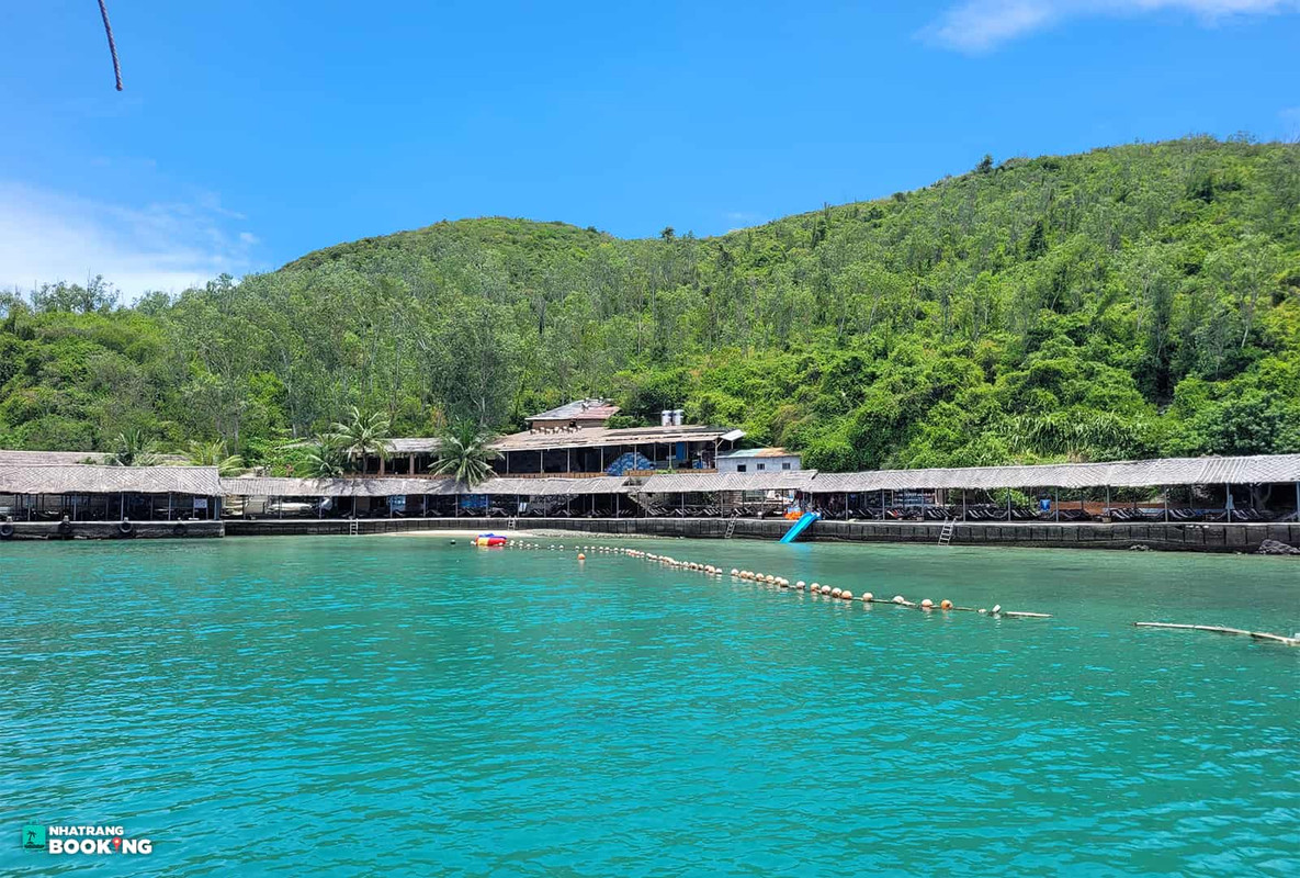 Tour Vip Hòn Tằm - Con Sẻ Tre