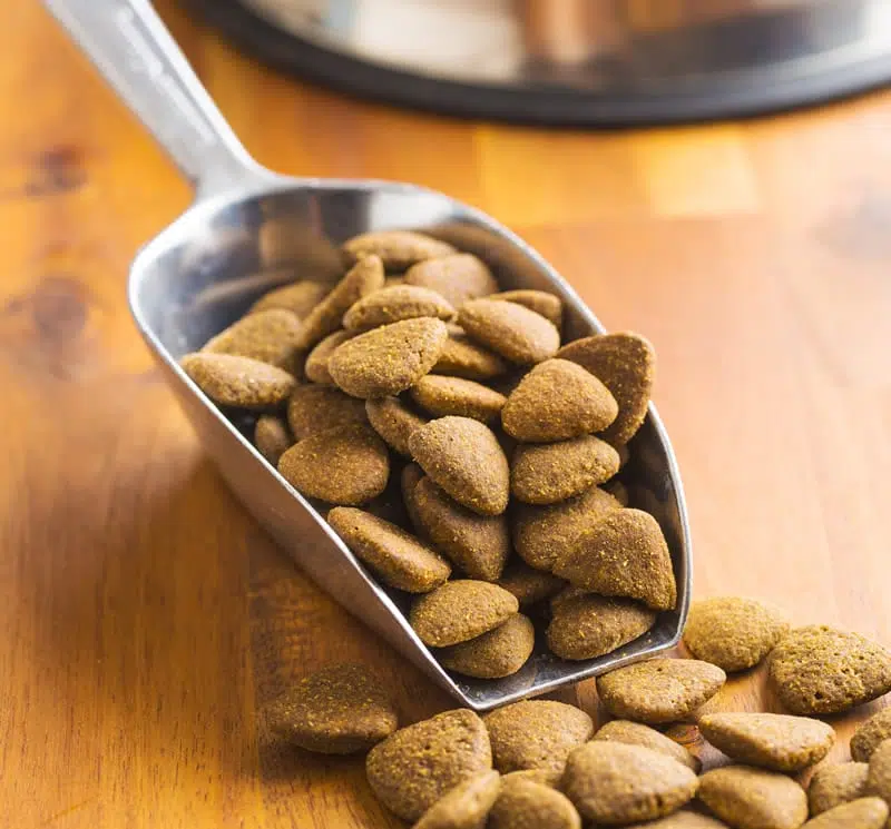 Alimentos
