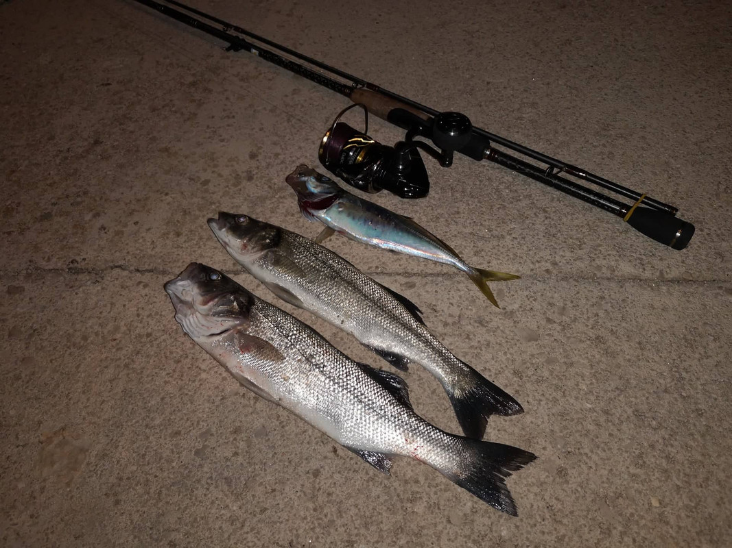 122177391_797864681006013_6432354539398368172_n