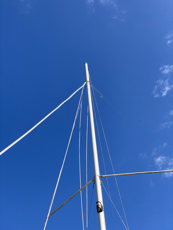 3CE32F67-FB1D-48E4-ABD9-FDC9320561CE