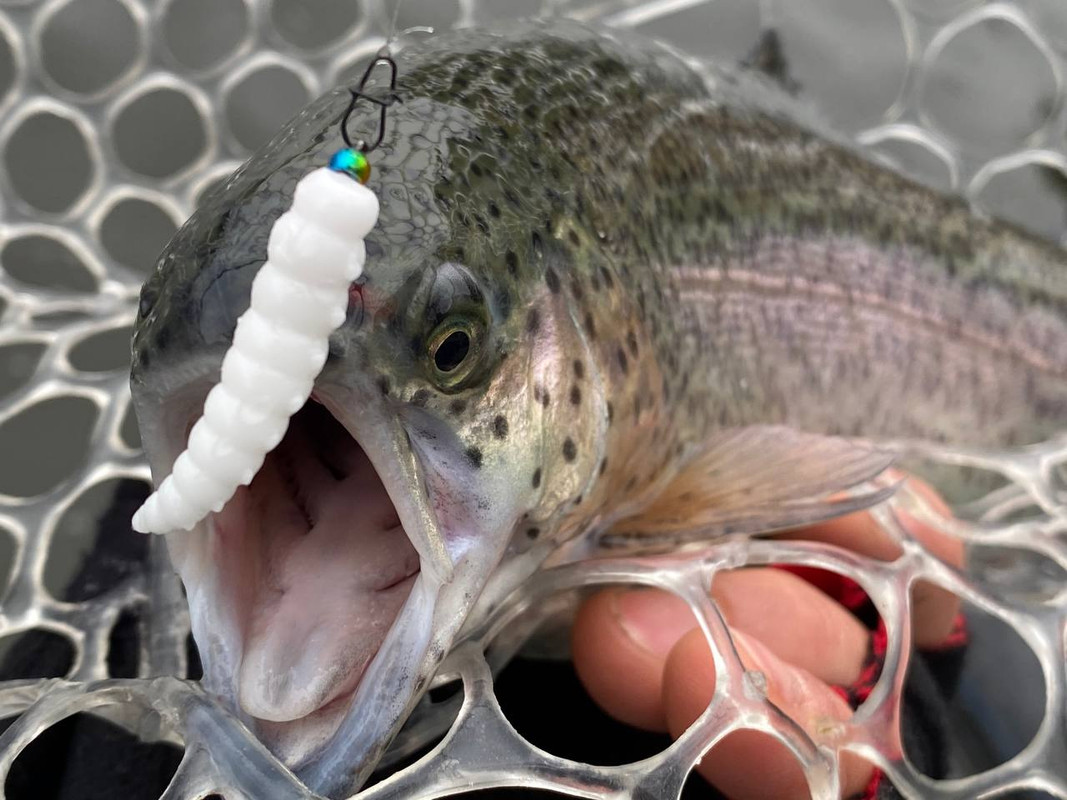 Fresh Lures, trout fishing lures, trout fishing lures plastic,