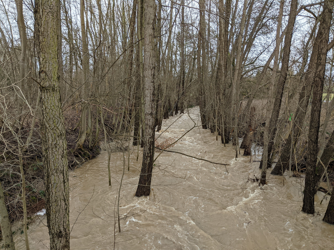 PXL_20210129_121400816