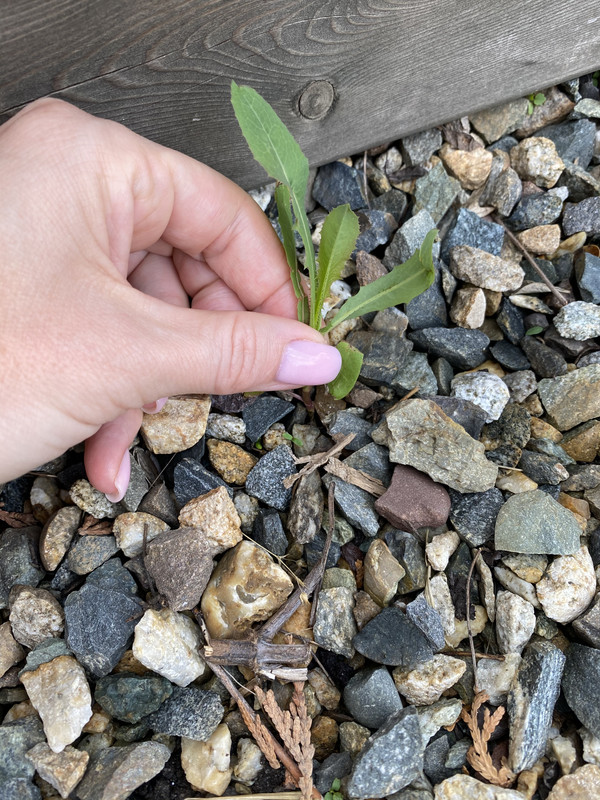 1F2B388E-FC01-449F-8A7D-1E173F1B712C