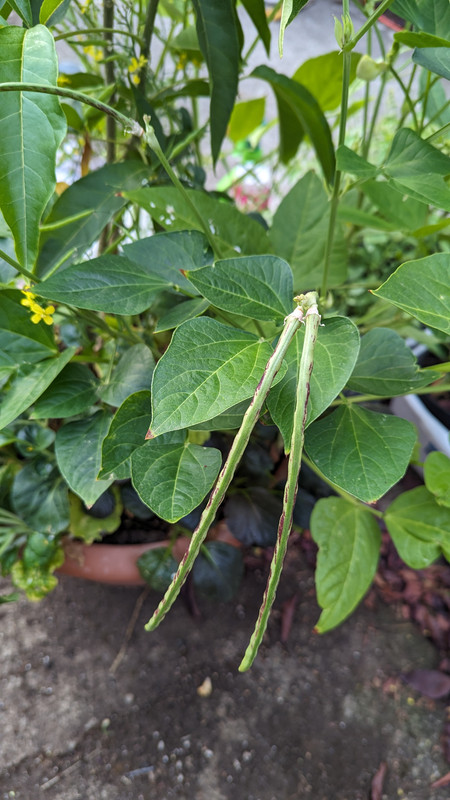 PXL_20230903_152256928