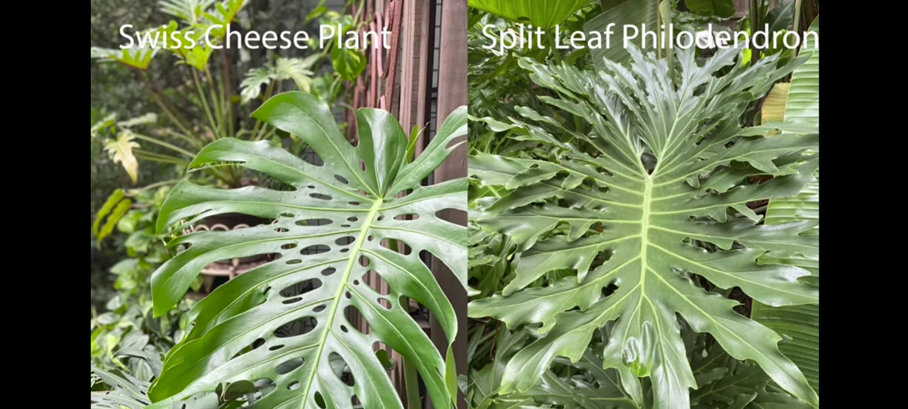 Screenshot_20210509-012229_Chrome