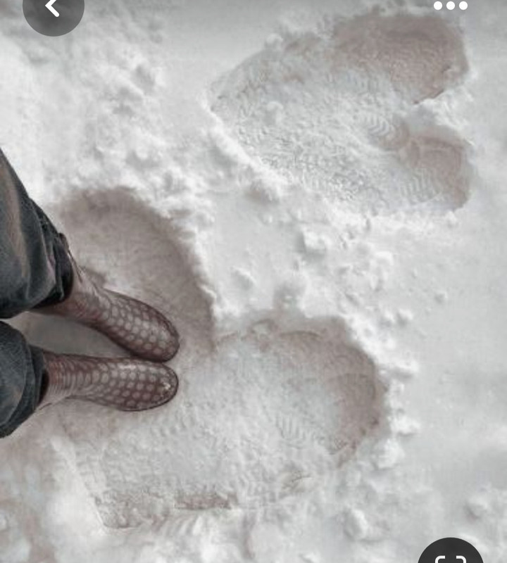 Screenshot_20230331_235553_Pinterest