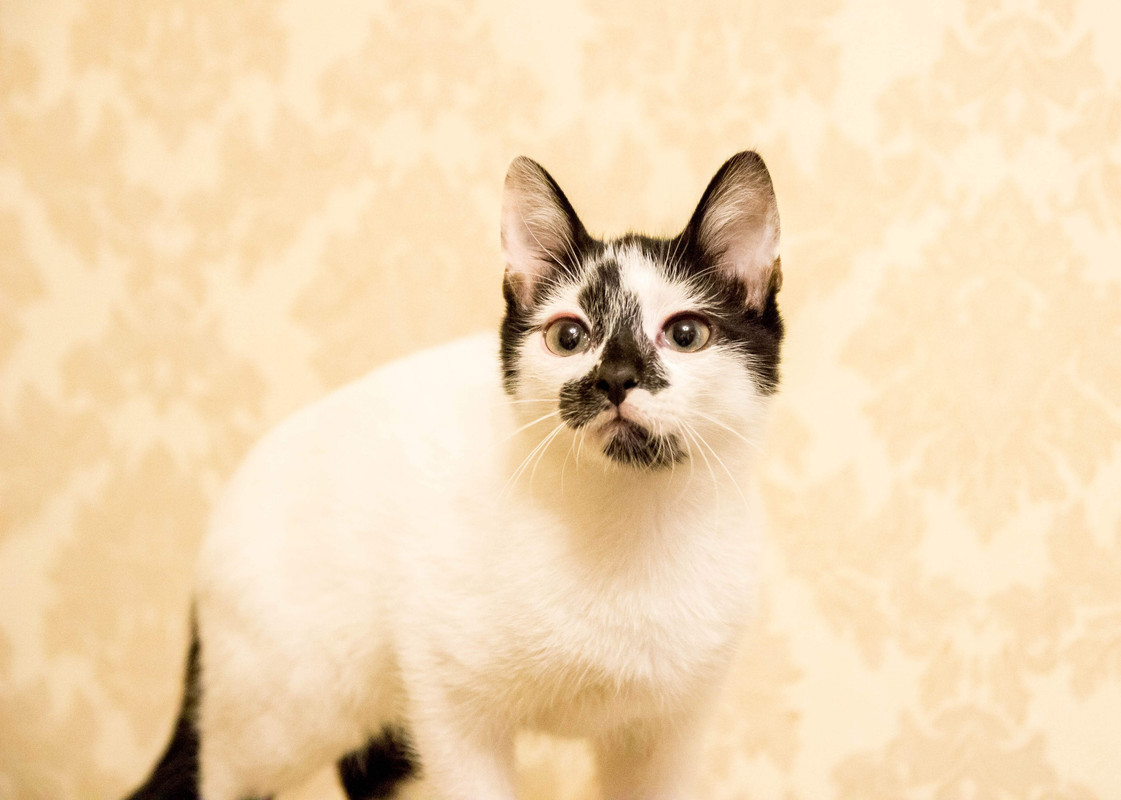 подросток-1-10