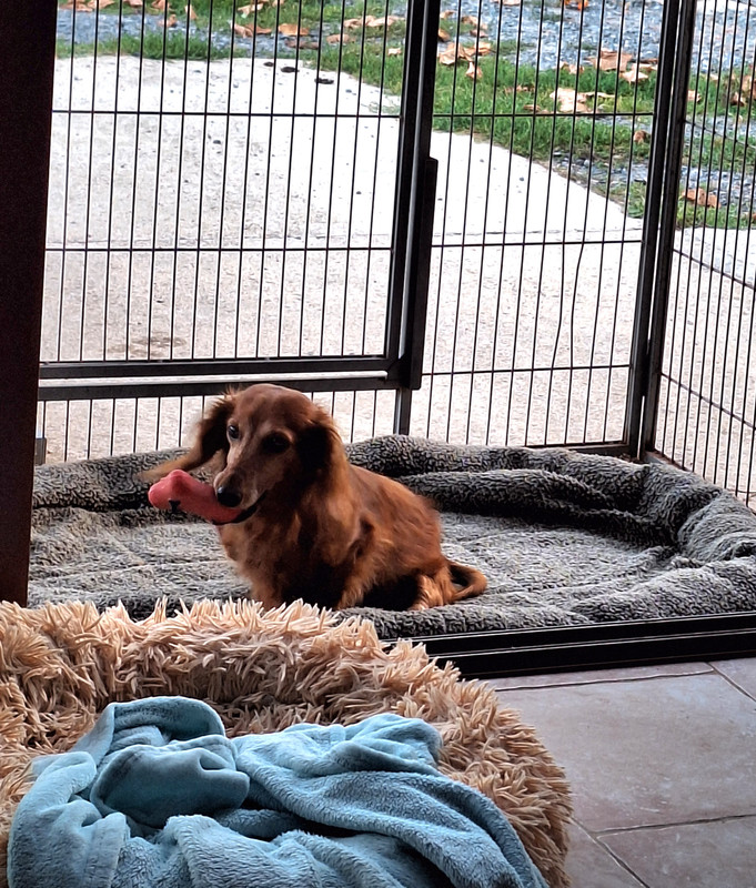 [Image: 20230909-200201.jpg]