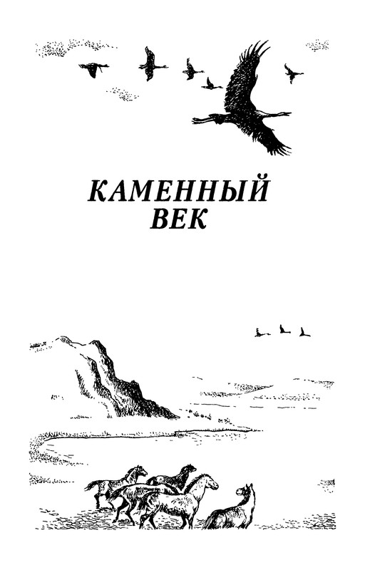 p0005
