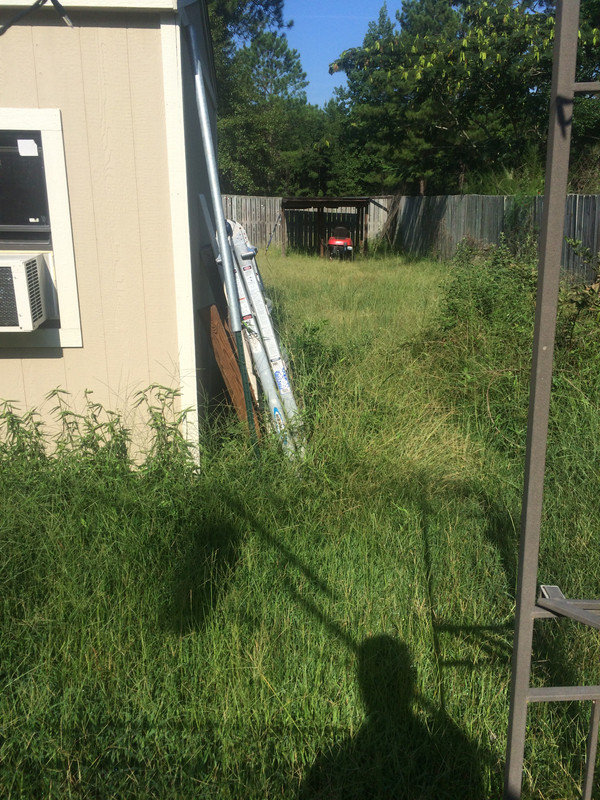 Overgrowth Sep, 2015