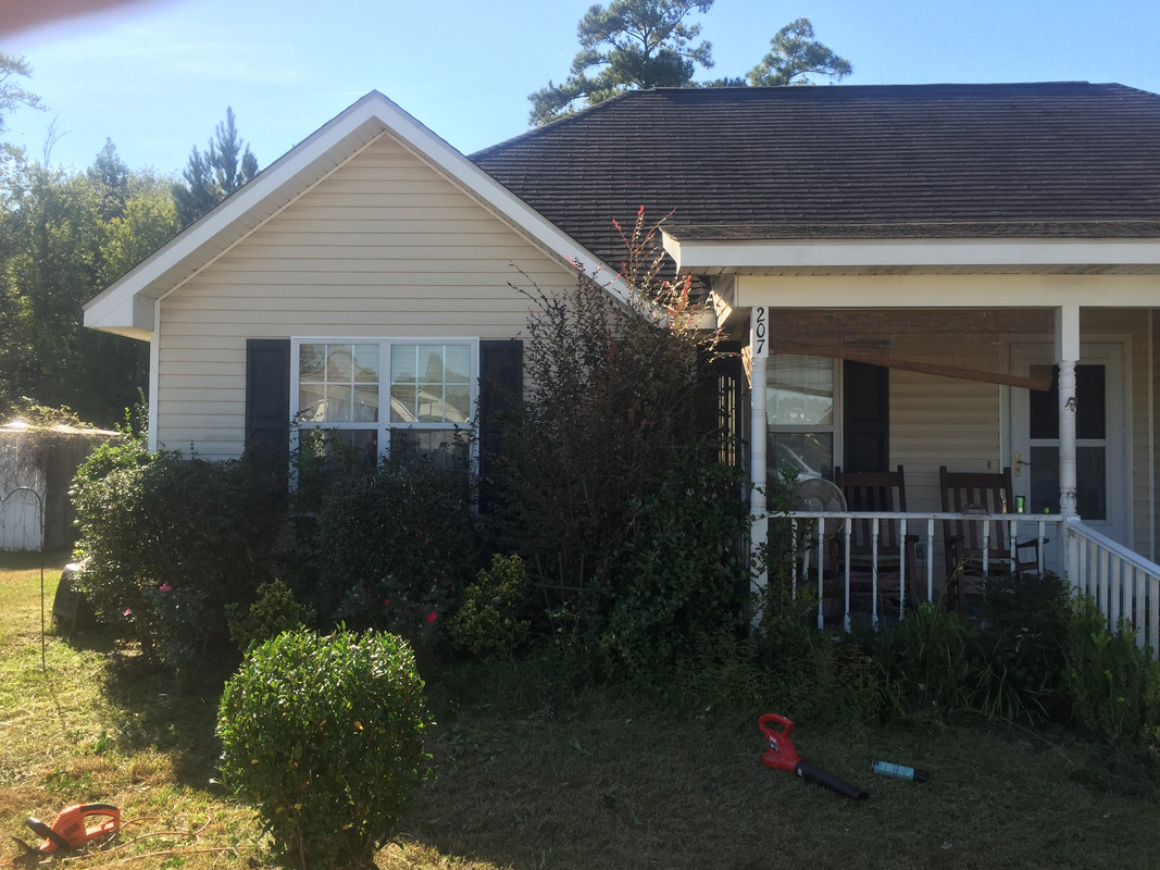Hedges prior to trim, Sep 2015