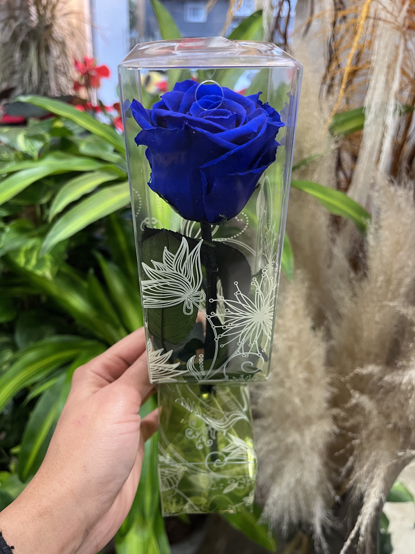 Rosa Eterna Azul